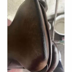 selle gbs