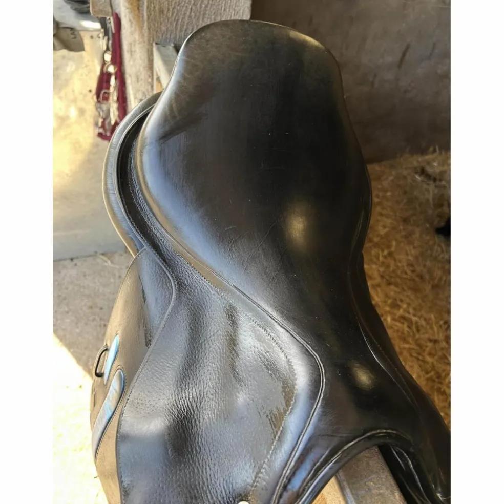 selle gbs