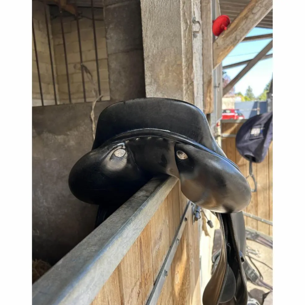 selle gbs