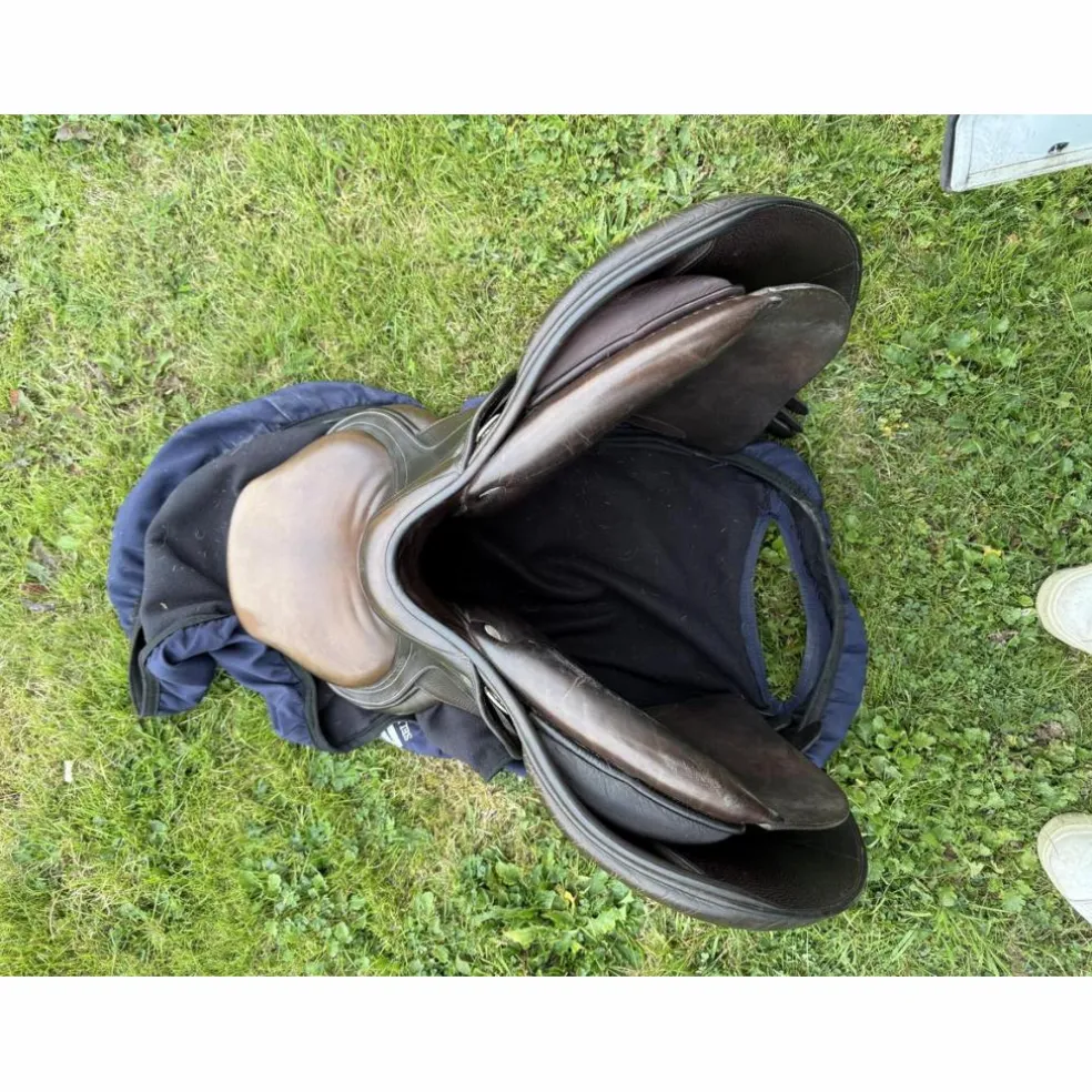 Selle GBS