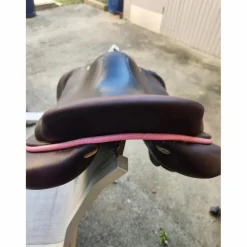 Selle gbs
