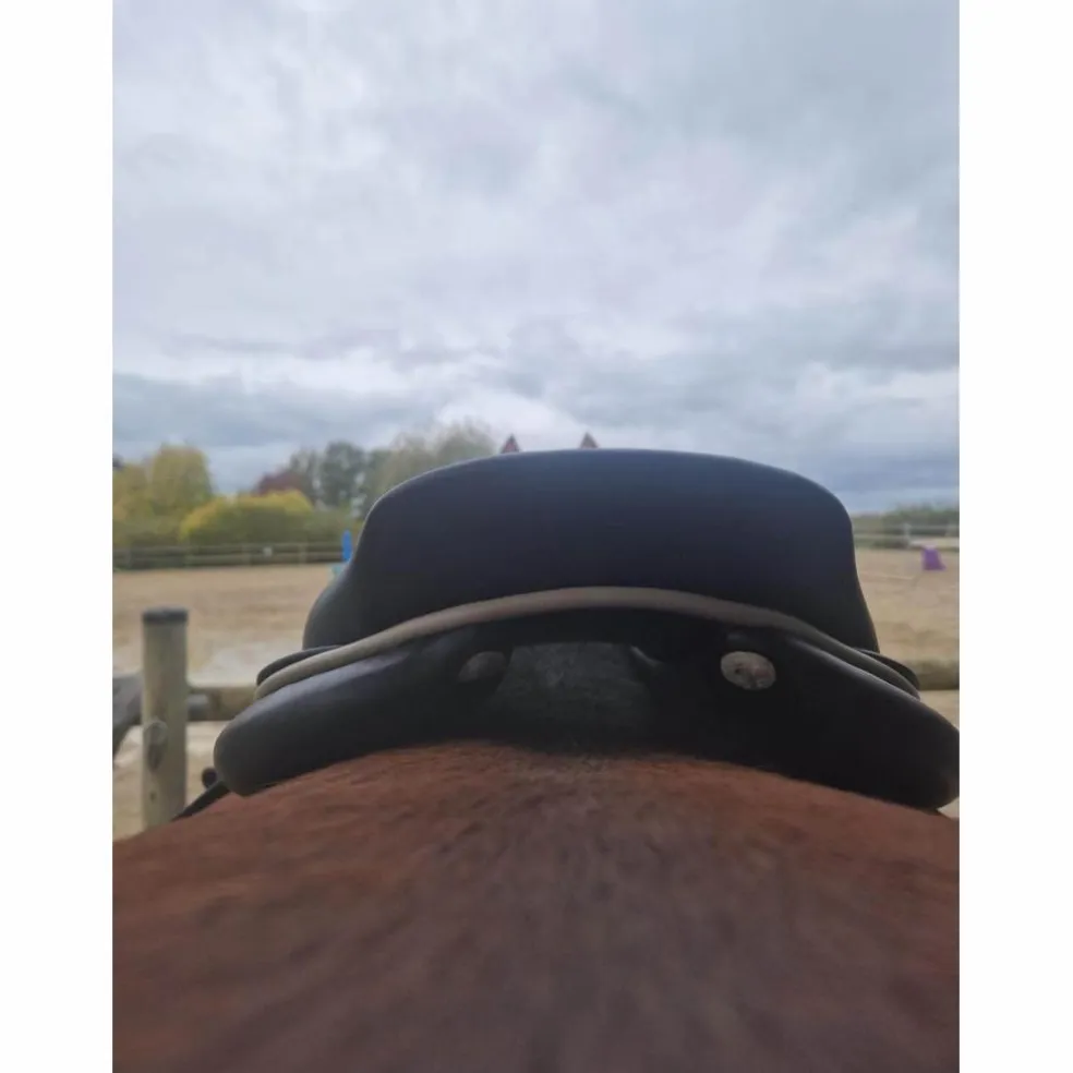 selle GBS 16,5