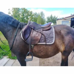 selle GBS 17,5