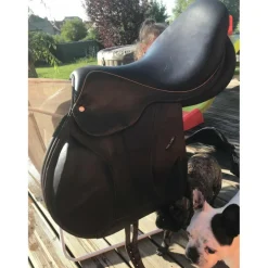 Selle Hervé godignion