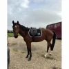 Selle Hervé godignon