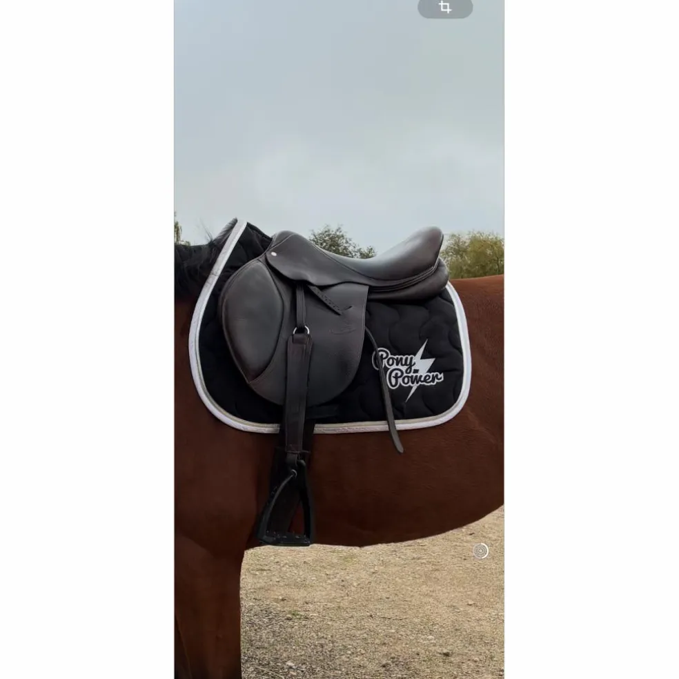 Selle Hervé godignon