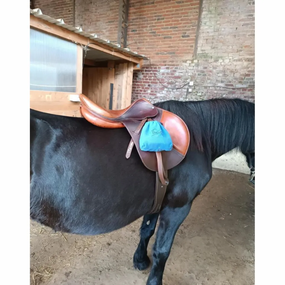 Selle Hervé godignon 18 pouces