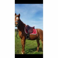 selle horse impact 17pouces