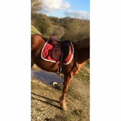 selle horse impact 17pouces