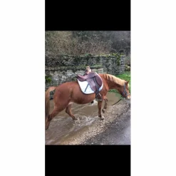selle horse impact 17pouces