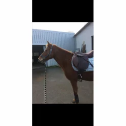 selle horse impact 17pouces