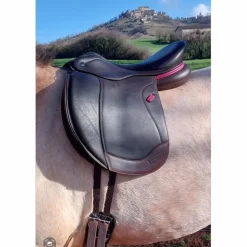 Selle Ikonic