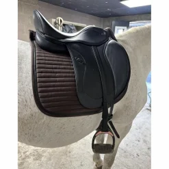 Selle Ikonic Light