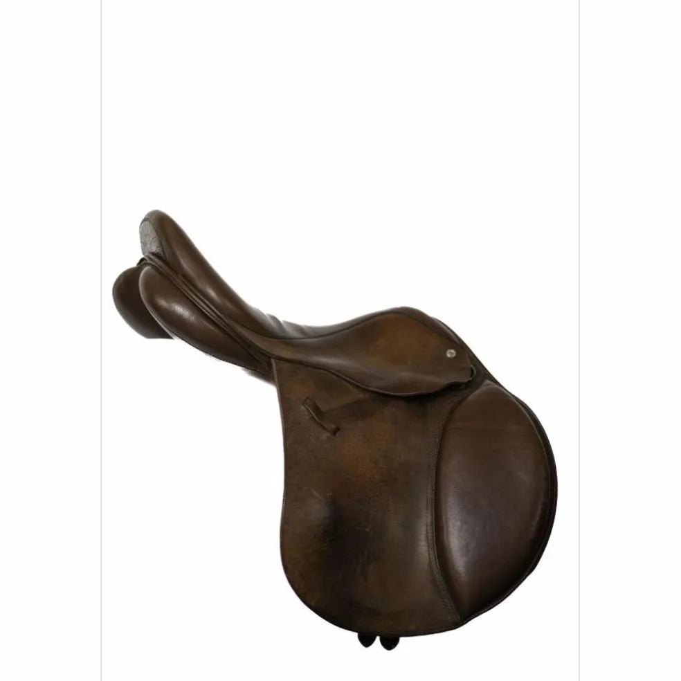 Selle jumping Loxley by bliss