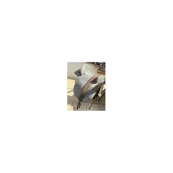 Selle ludomar