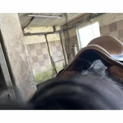 selle marron de la marque baude