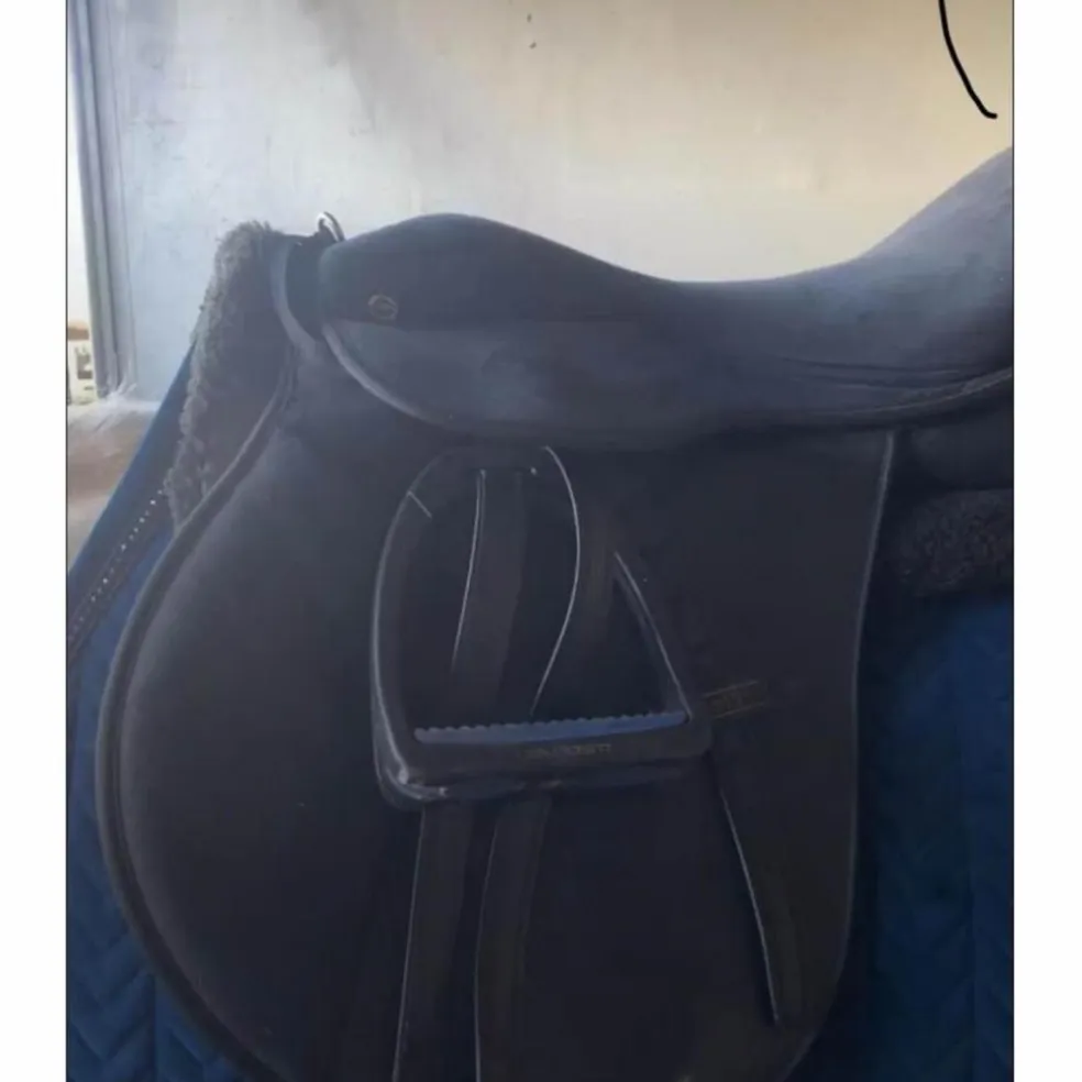 selle mixte dalso