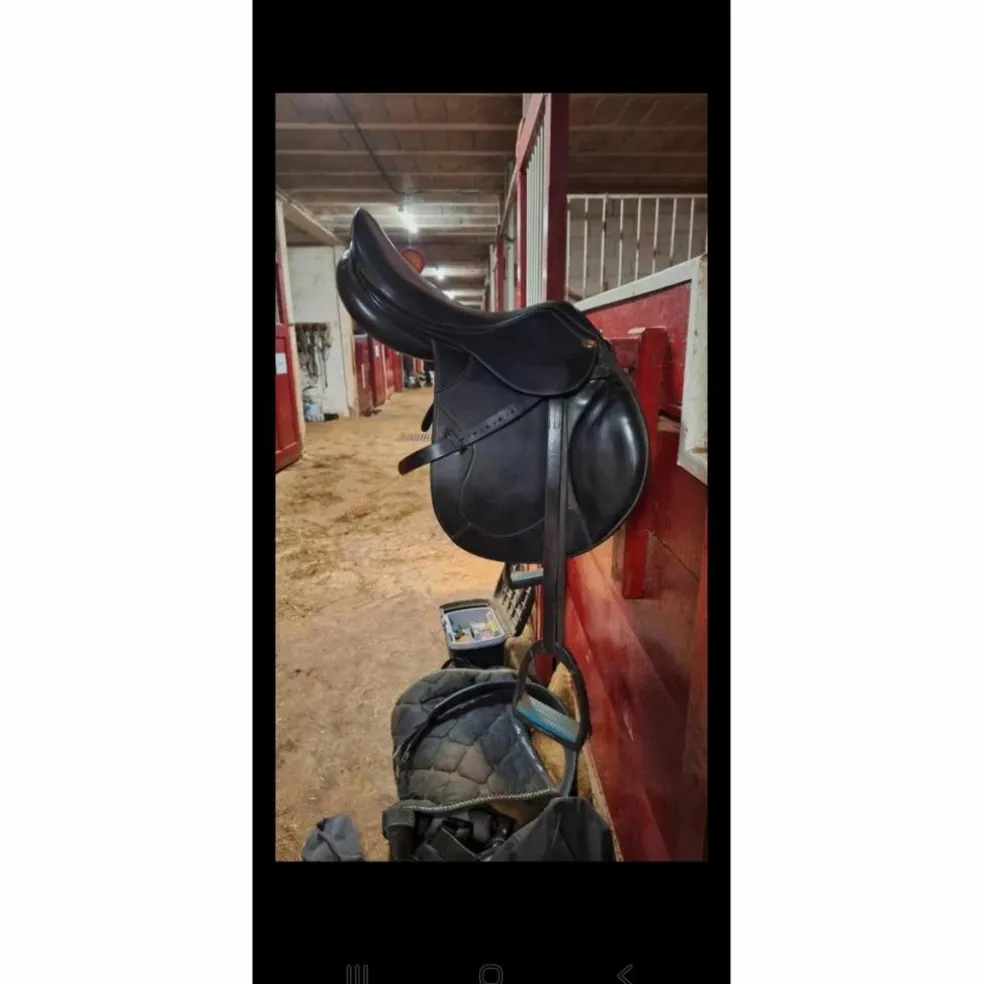 Selle mixte Eric Thomas