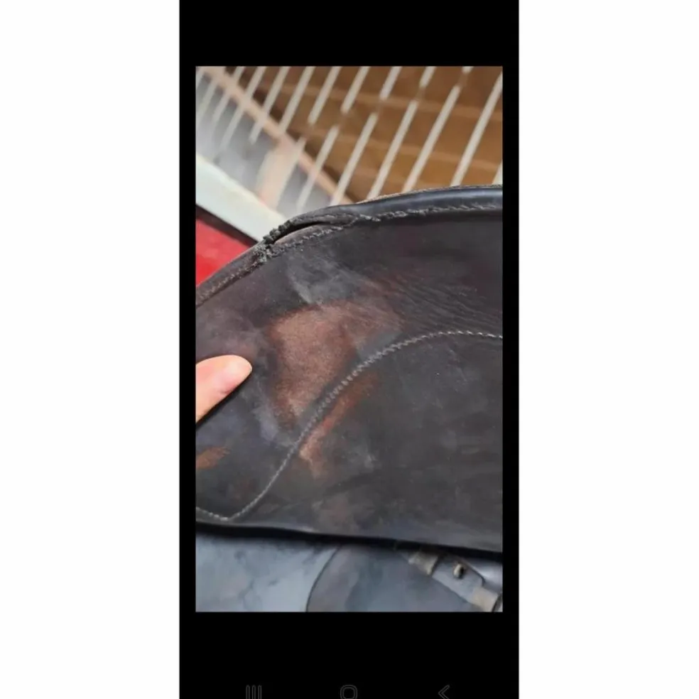 Selle mixte Eric Thomas