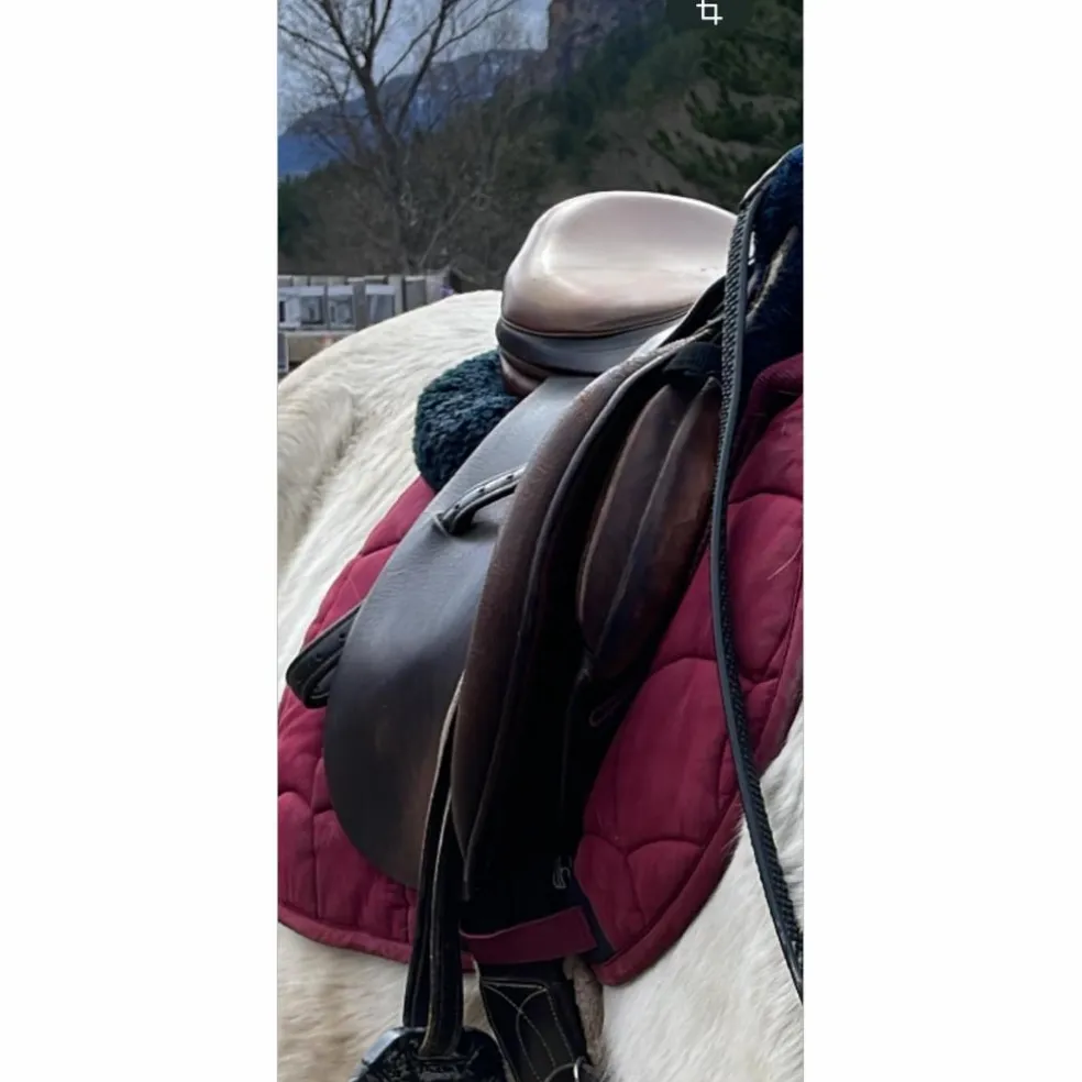 Selle mixte forestier