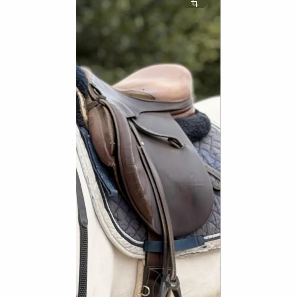 Selle mixte forestier
