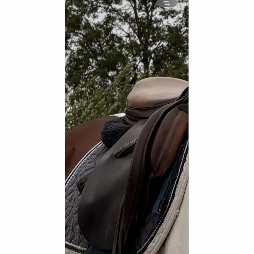 Selle mixte forestier