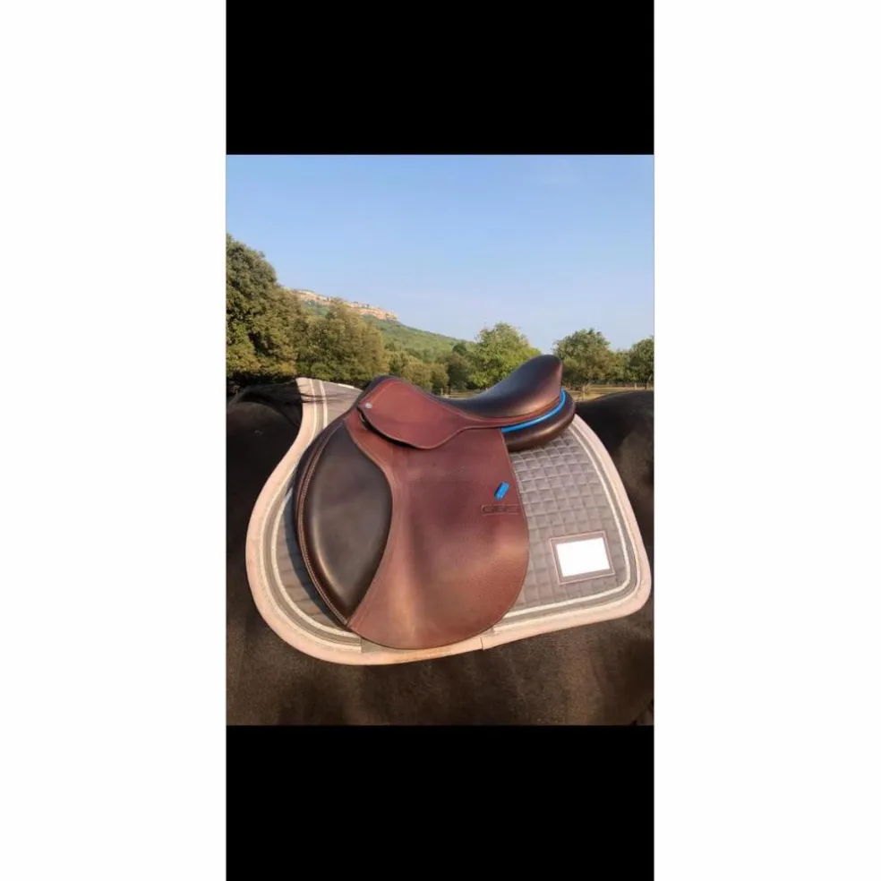 Selle mixte GBS
