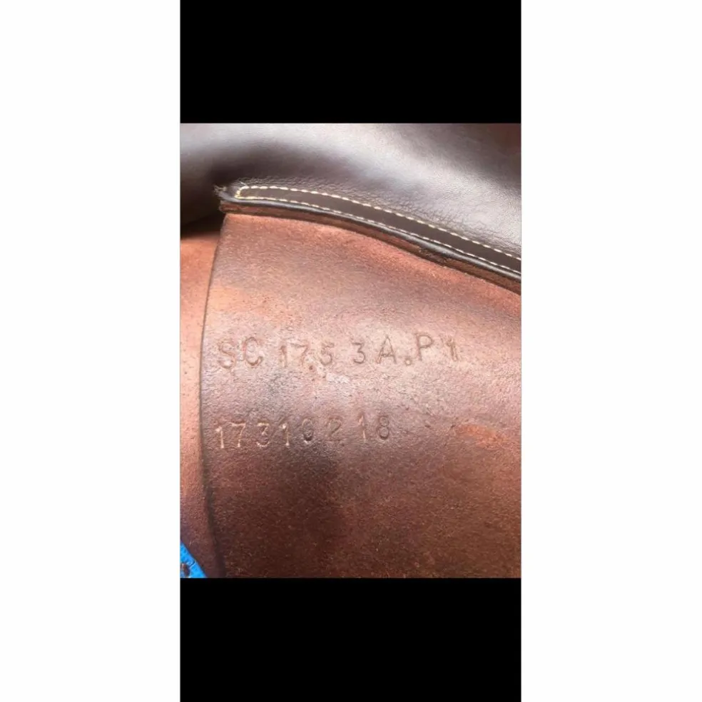 Selle mixte GBS