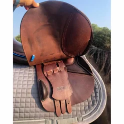 Selle mixte GBS