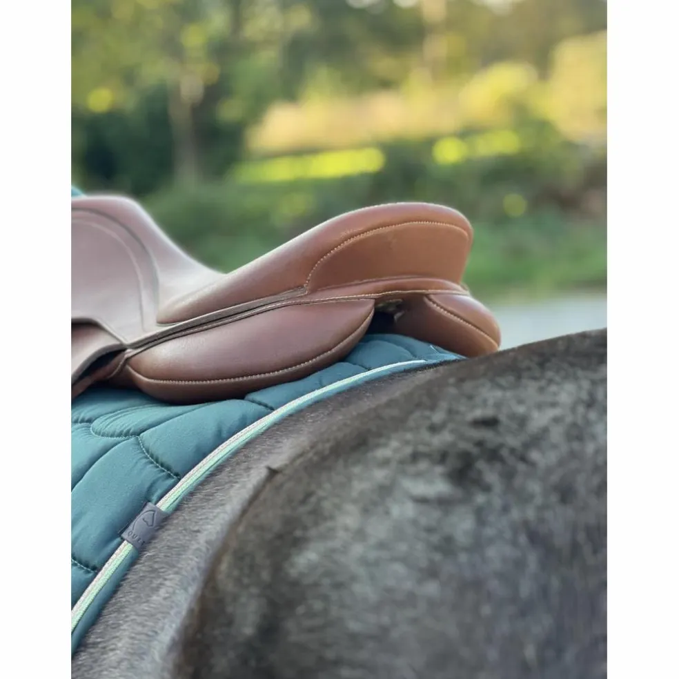 Selle Mixte Wintec 500 Cair