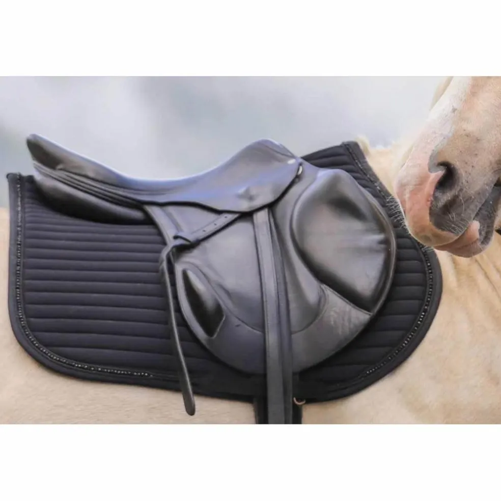 selle monoquartier antares