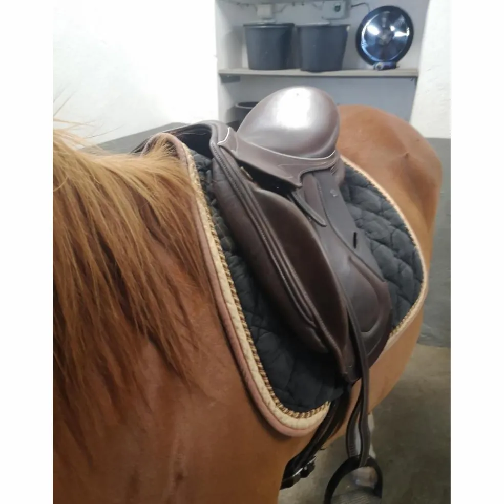 Selle monoquartier dressage Eric Mondange Havane 17,5 pouces