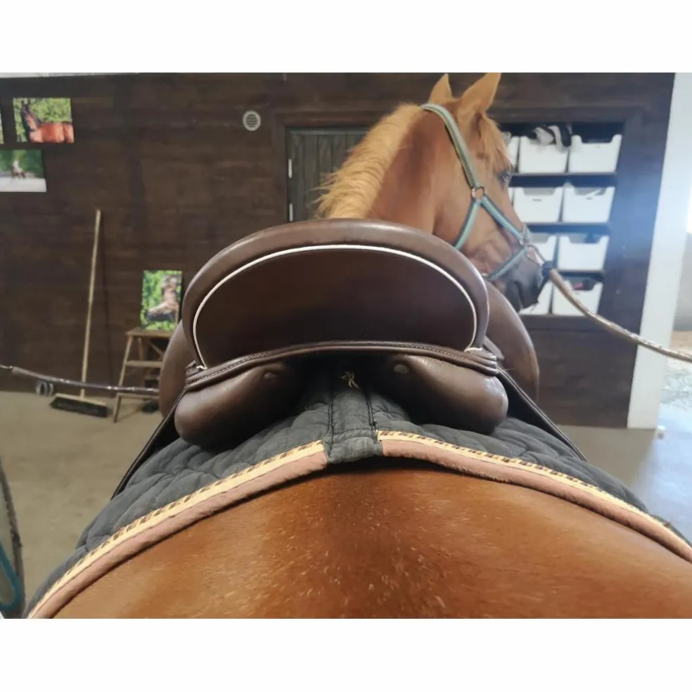Selle monoquartier dressage Eric Mondange Havane 17,5 pouces