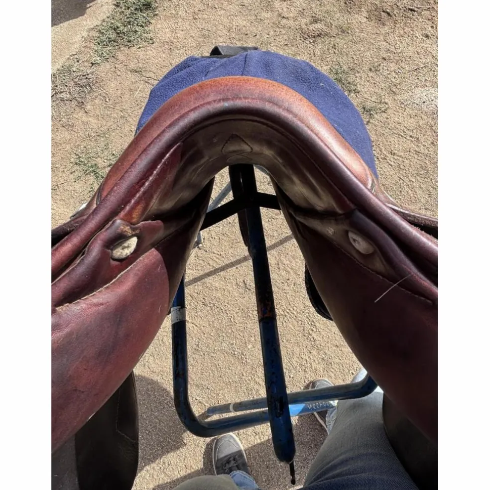 Selle obstacle Antares Confort
