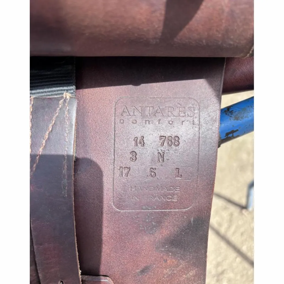 Selle obstacle Antares Confort
