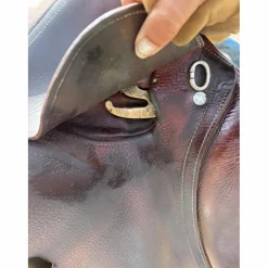 Selle obstacle Antares Confort