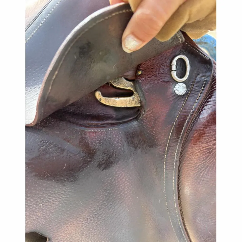 Selle obstacle Antares Confort