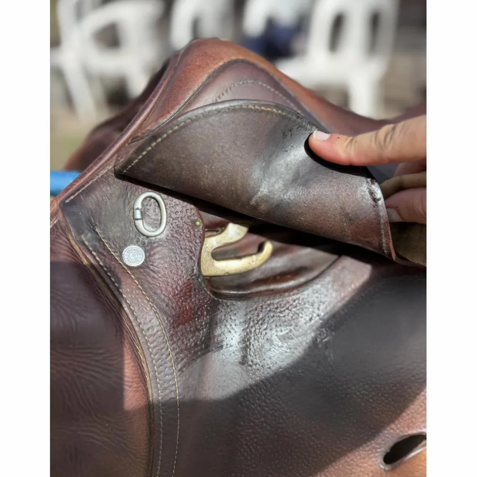 Selle obstacle Antares Confort
