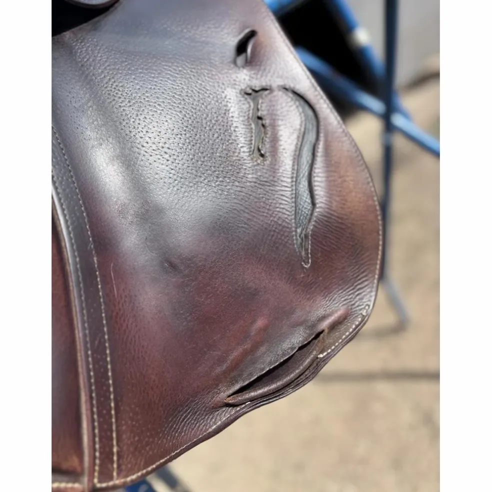 Selle obstacle Antares Confort