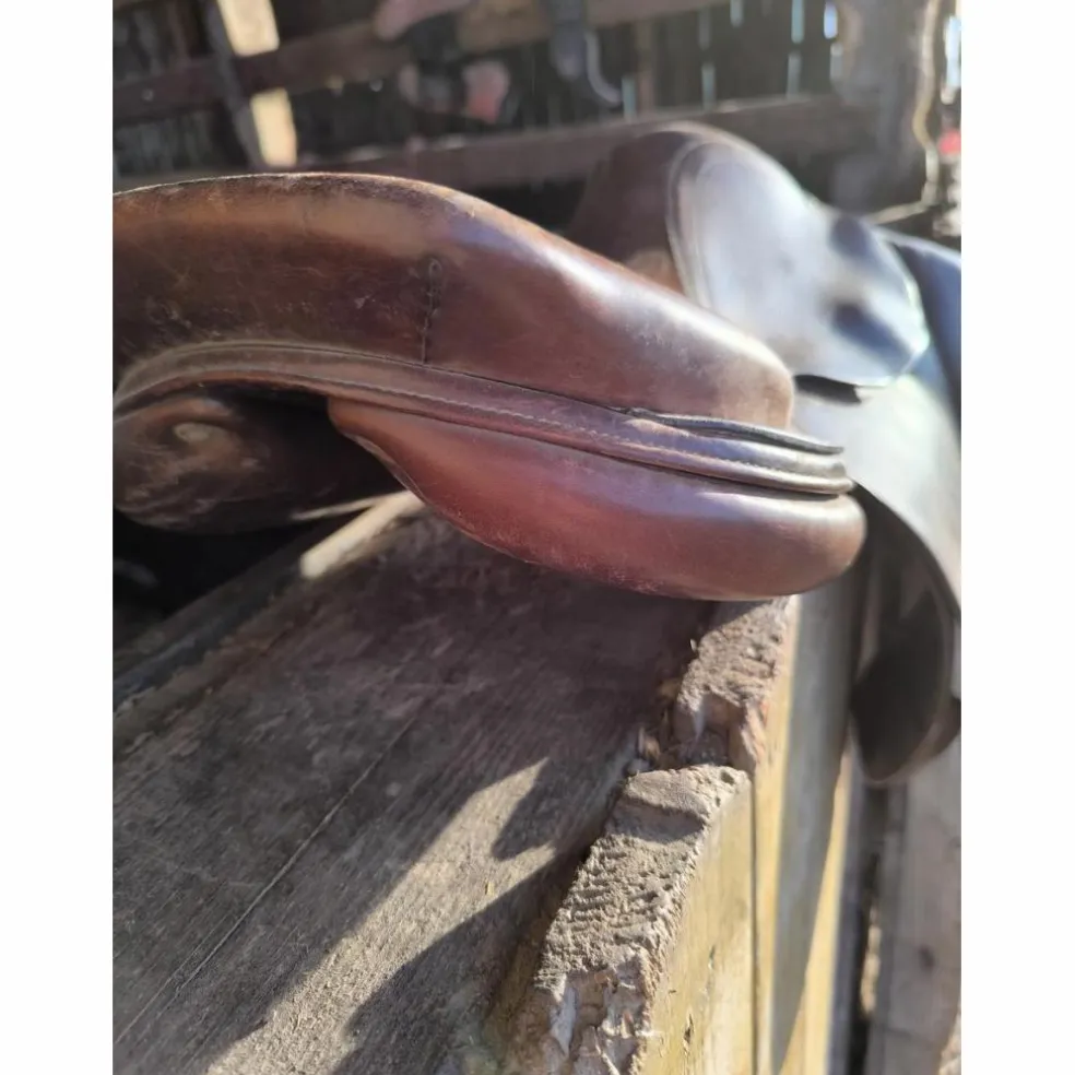 Selle obstacle bruno Delagrange