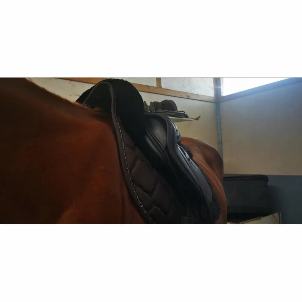 Selle obstacle Erreplus