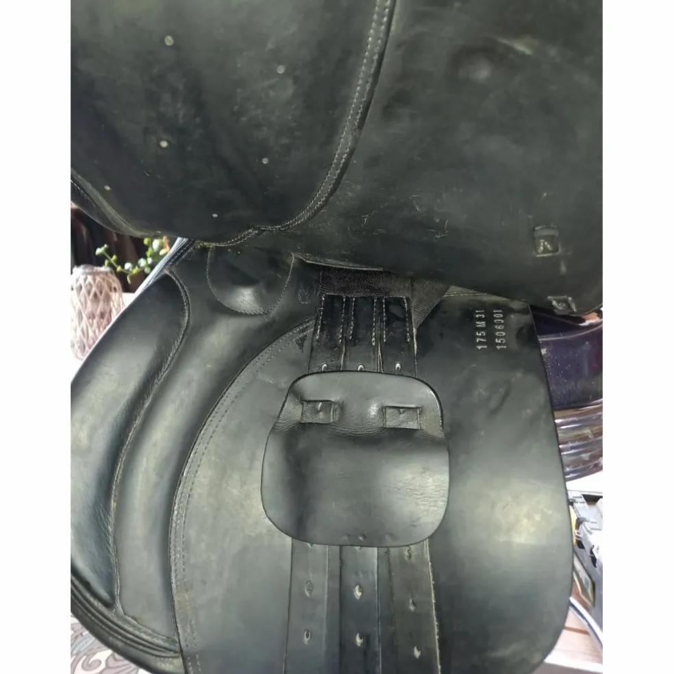 Selle obstacle Ikonic 2015 noire