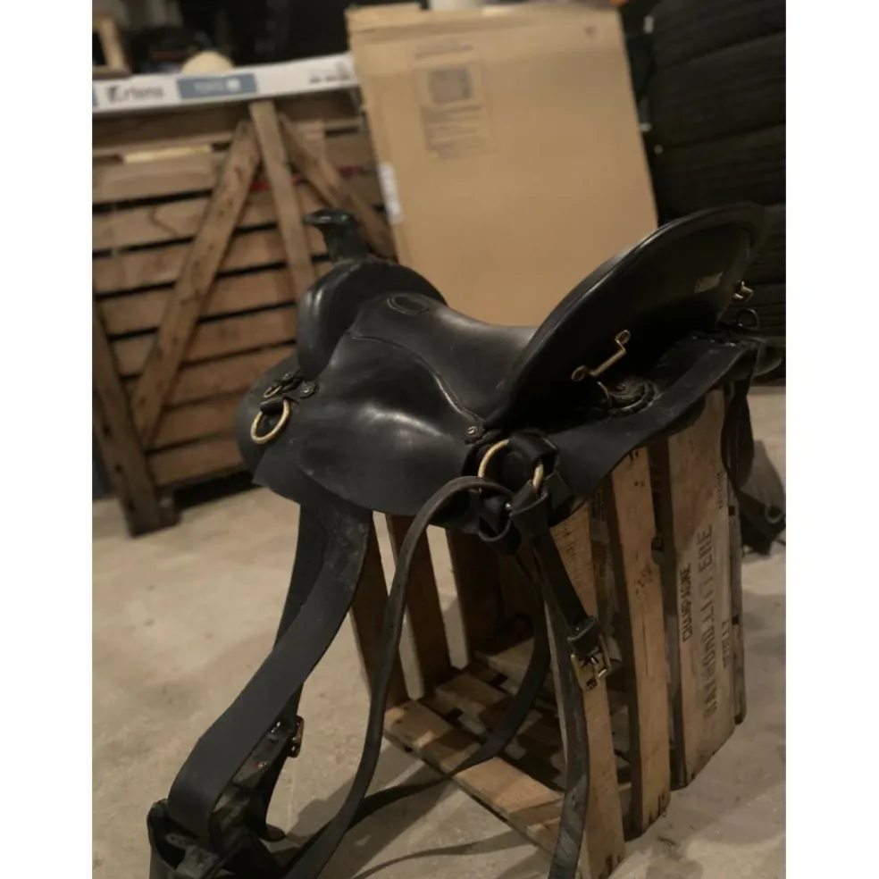 Selle orientée western