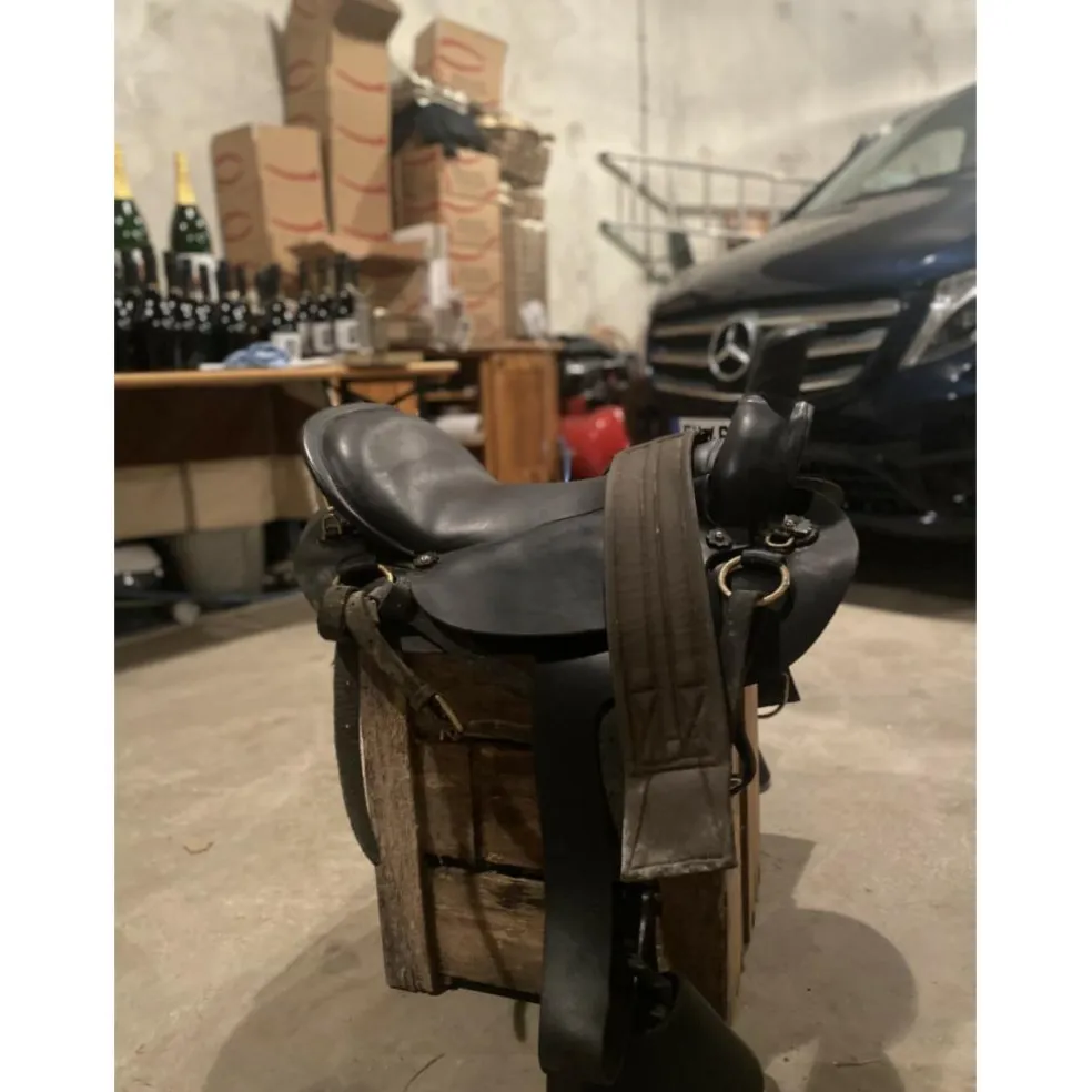 Selle orientée western
