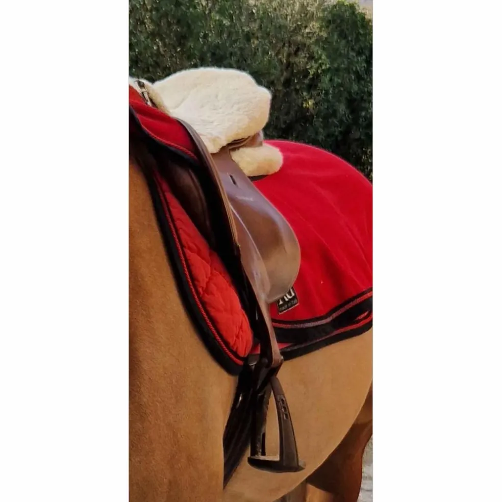 Selle PASSIER mixte 17" prix négociable