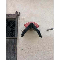 Selle Portugaise rouge et noir en bon etat