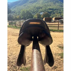 selle prestige