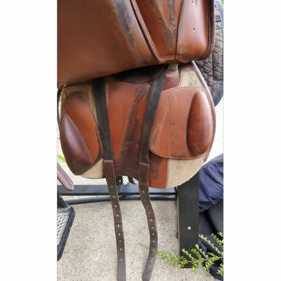 Selle Prestige Eventing