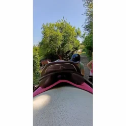 Selle prestige roma jump