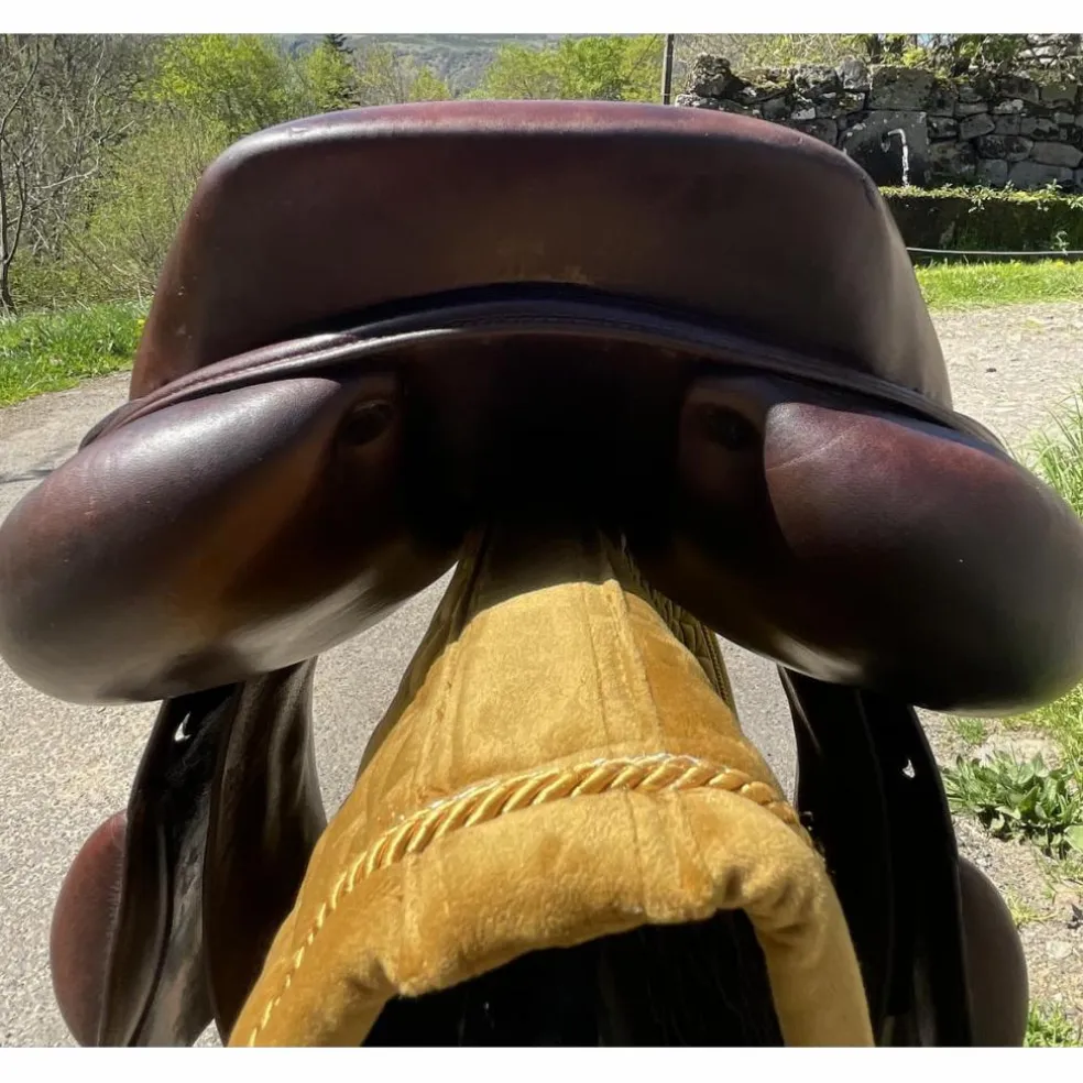 Selle Pro'Point Jean-Luc Maurel